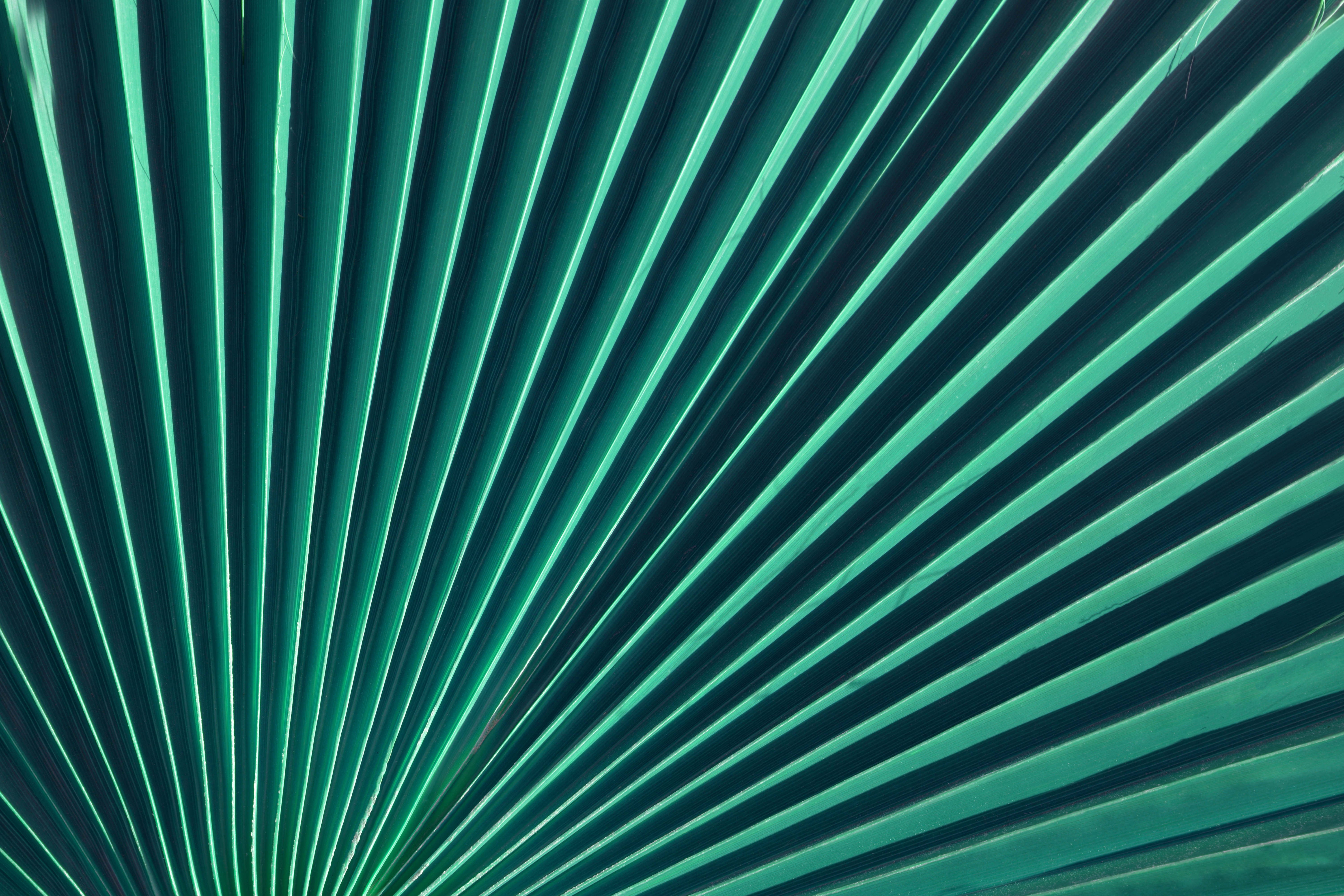 Responsible Business | Social Impact | Legal Services